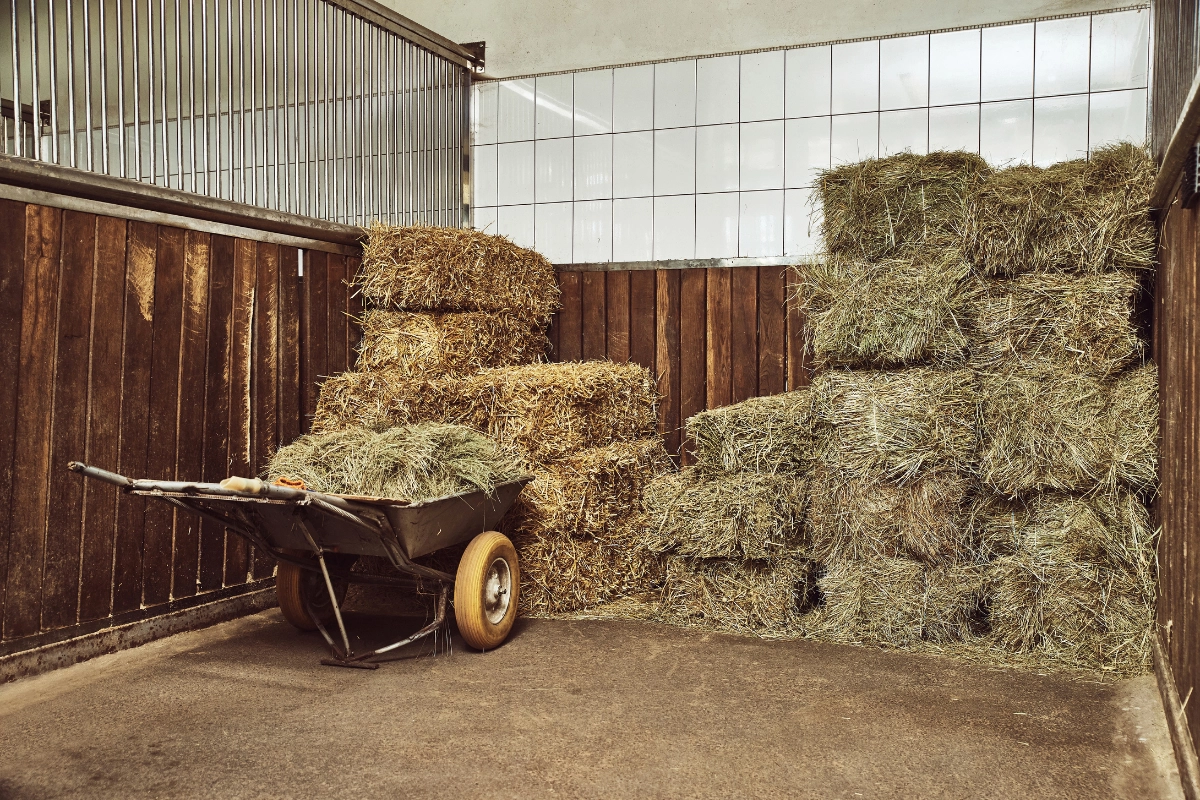 Hay Rustic